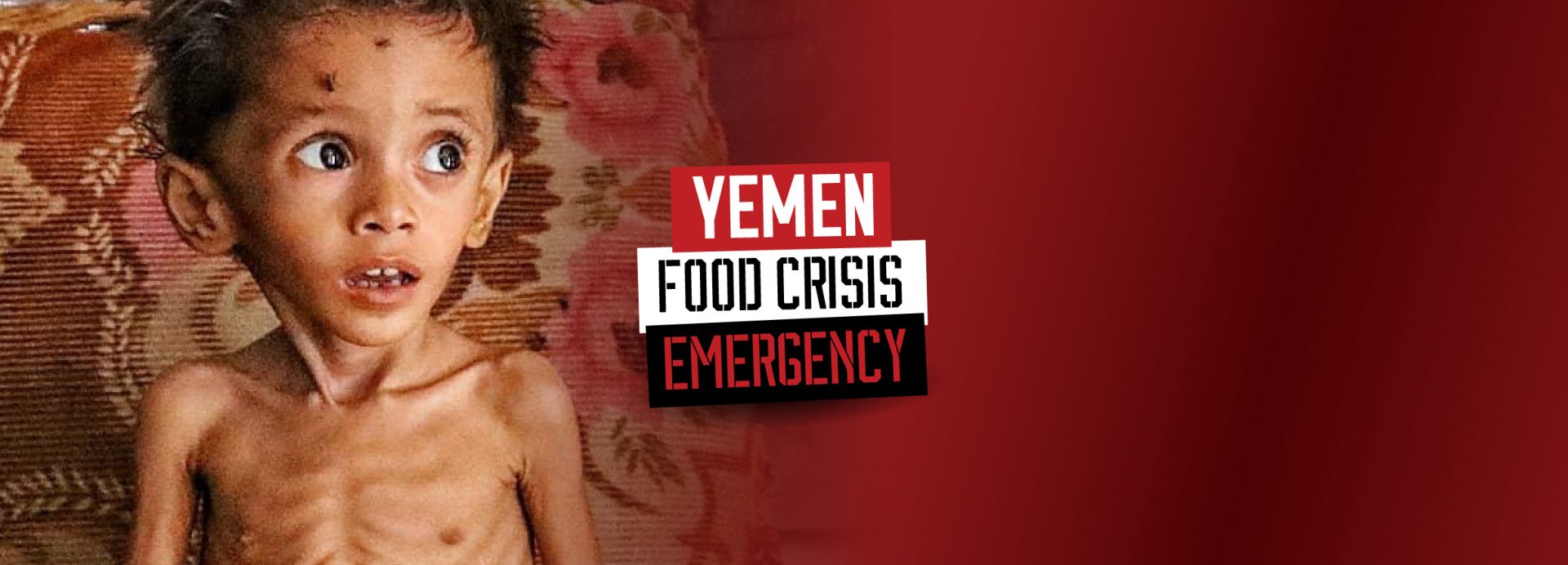 Yemen Crisis
