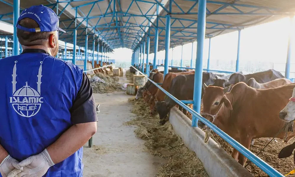 Qurbani 2026